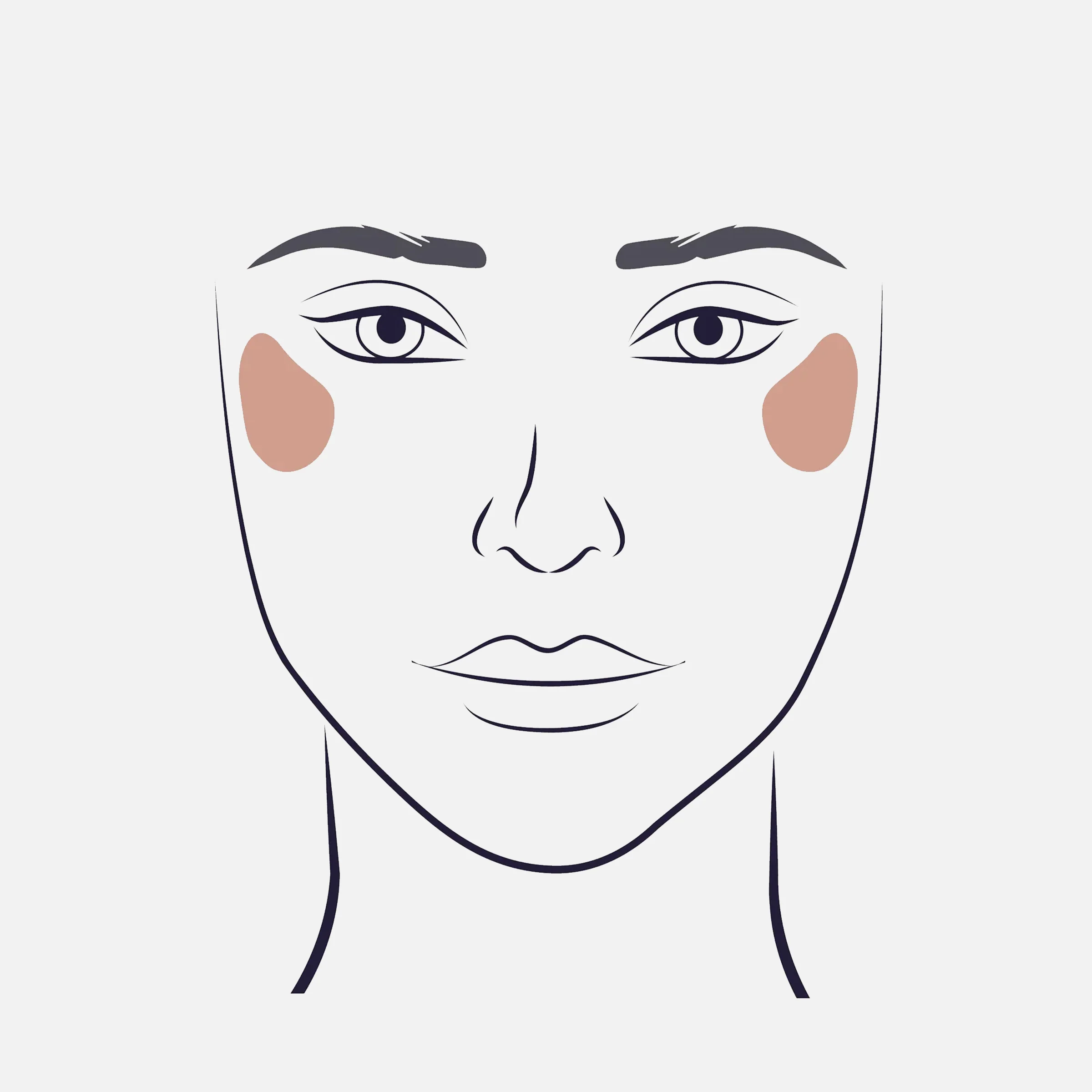 105 Highlight Brush - Image 3
